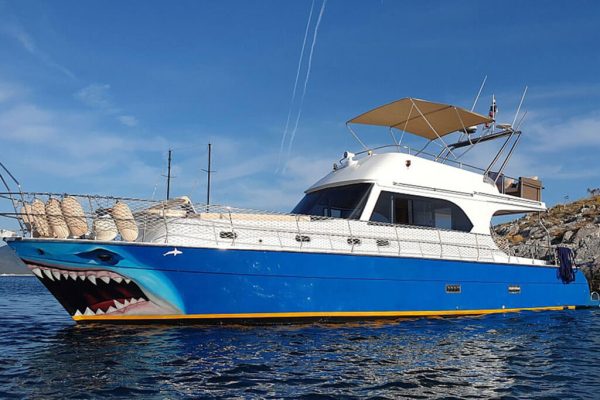 Boat Trip Bodrum Daily Tour Syana