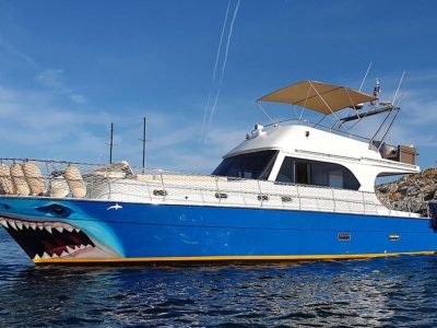 Bodrum Boat Trip Syana